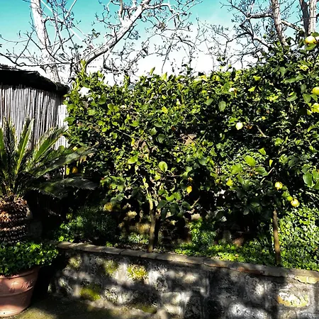 Hébergement de vacances Casa Dolce Casa *